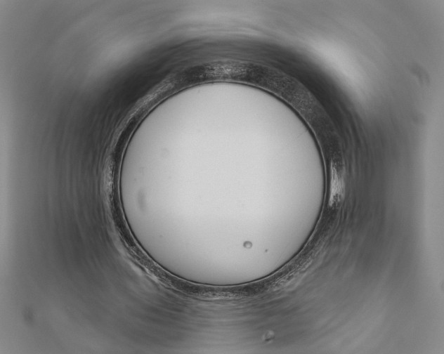 X0000111200435200907291233