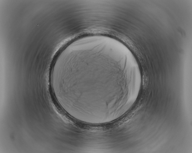 X0000111200438200907291233