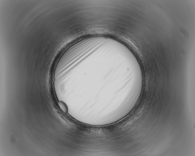 X0000111200439200907291233