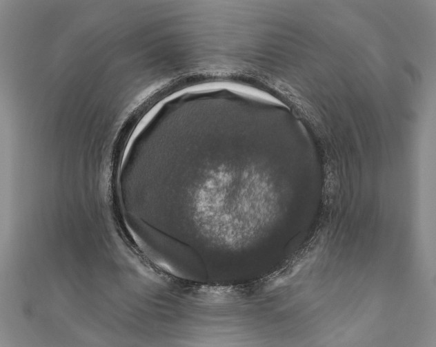 X0000111200440200907291233