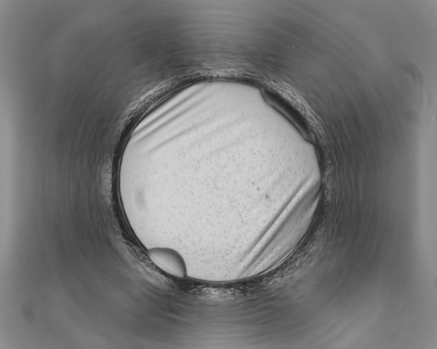 X0000111200442200907291233