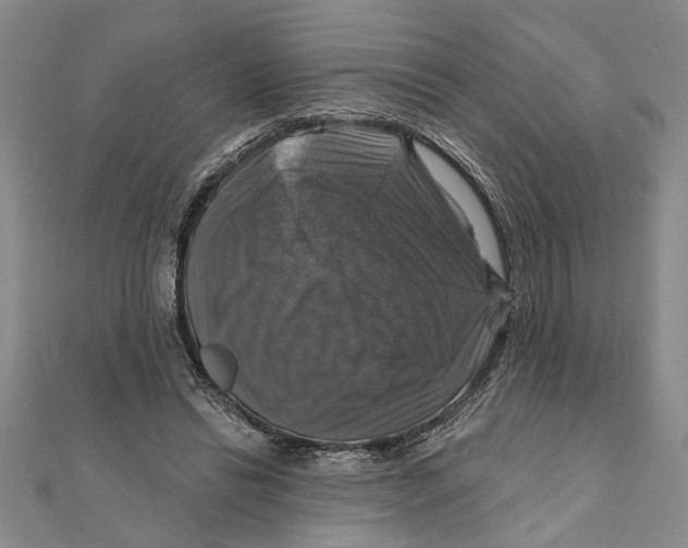 X0000111200446200907291233