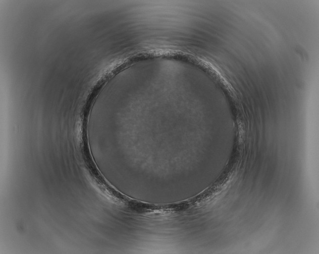 X0000111200447200907291233