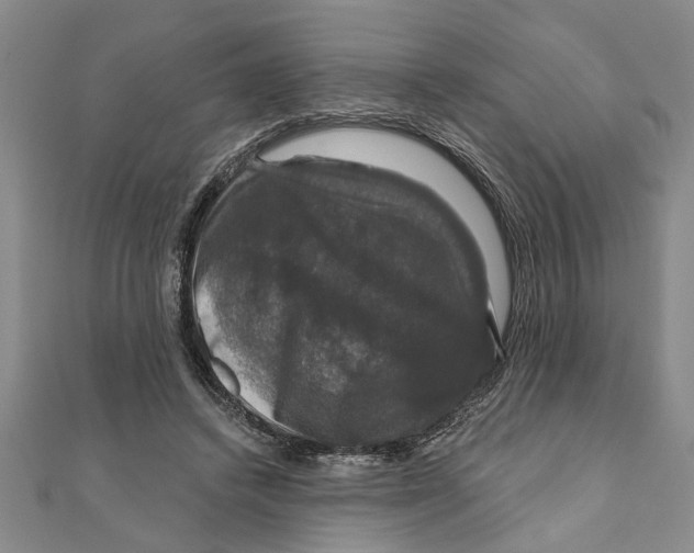 X0000111200448200907291233