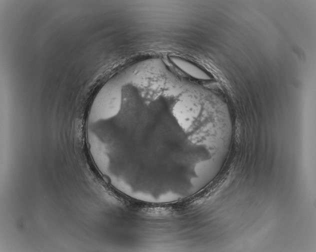 X0000111200449200907291233