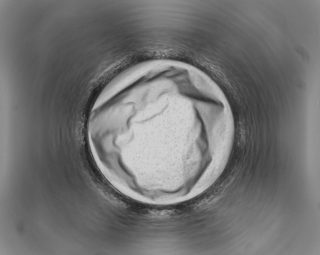 X0000111200450200907291233