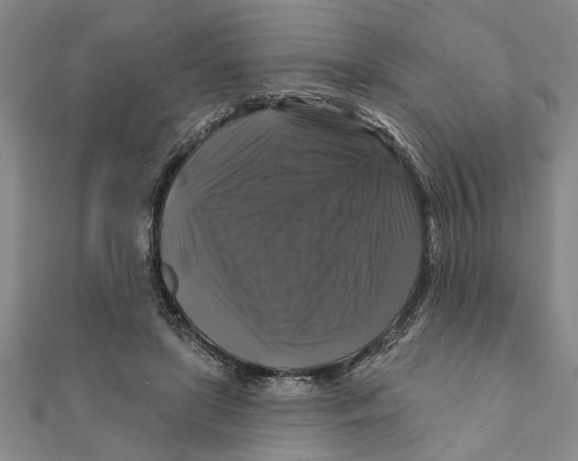 X0000111200451200907291233