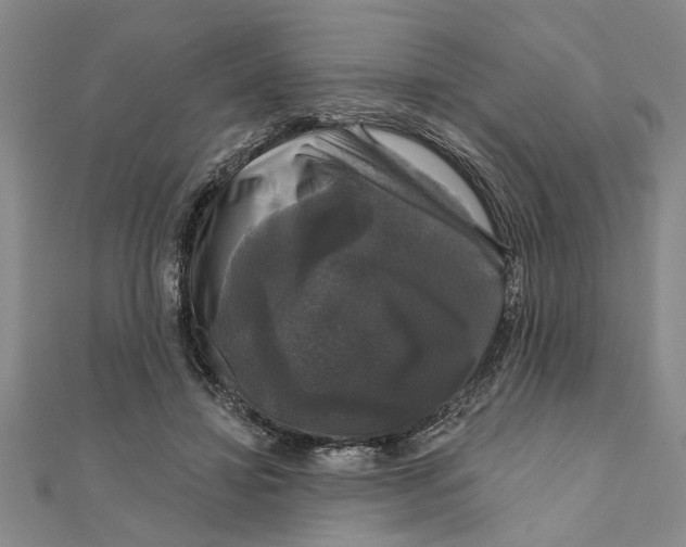 X0000111200452200907291233