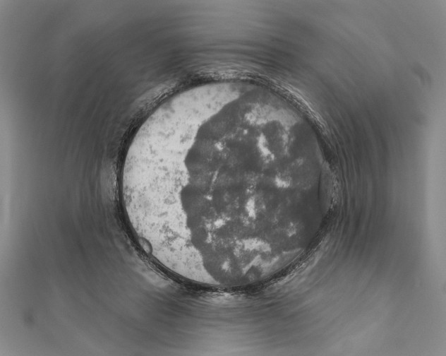 X0000111200453200907291233