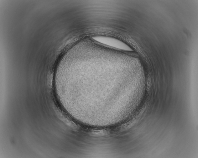 X0000111200454200907291233