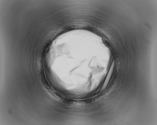 X0000111200455200907291233