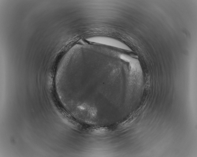 X0000111200456200907291233