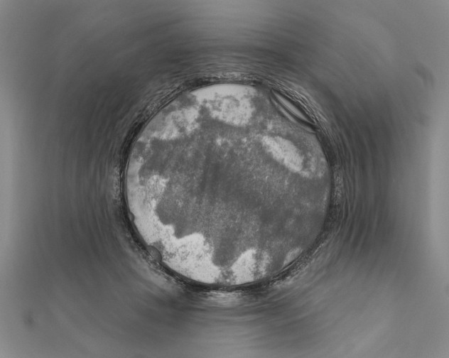 X0000111200457200907291233