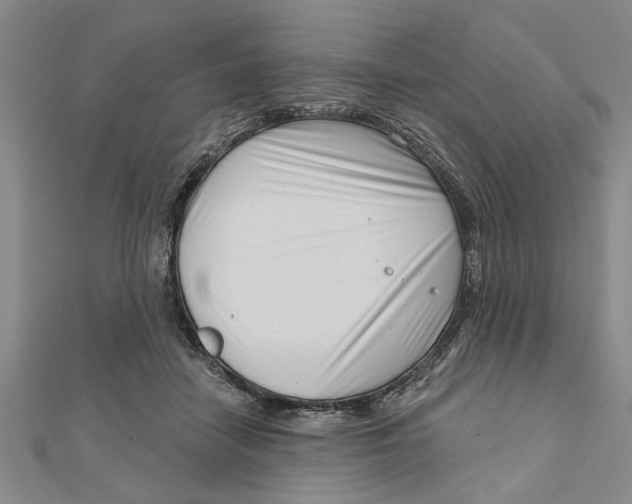 X0000111200458200907291233