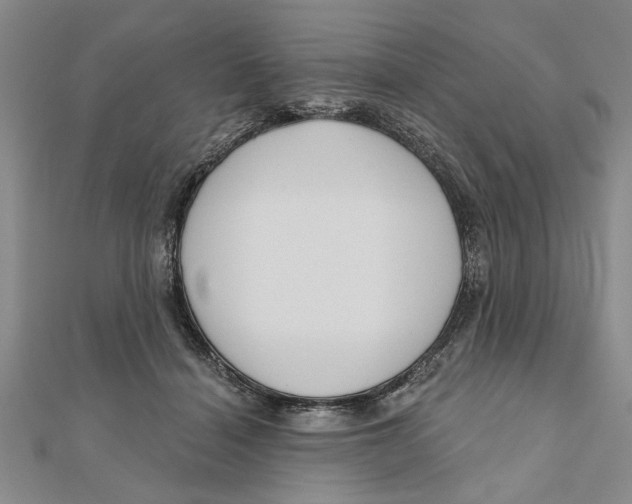 X0000111200460200907291233