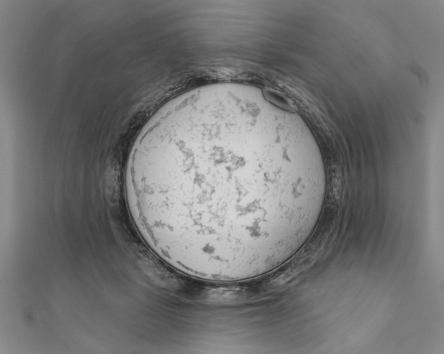 X0000111200461200907291233