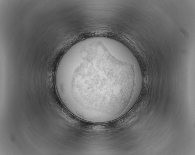 X0000111200462200907291233