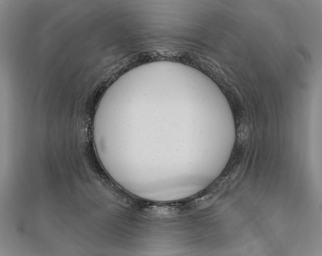 X0000111200464200907291233