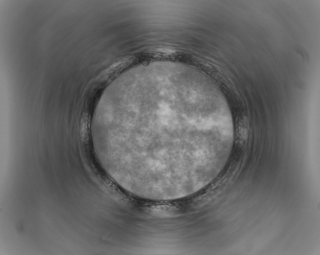 X0000111200468200907291233