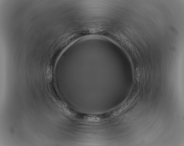 X0000111200471200907291233