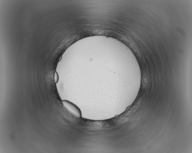 X0000111200473200907291233