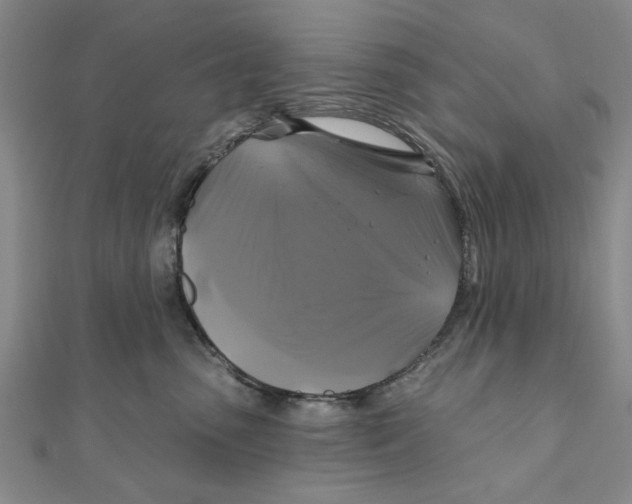 X0000111200475200907291234