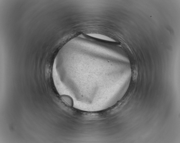 X0000111200476200907291234