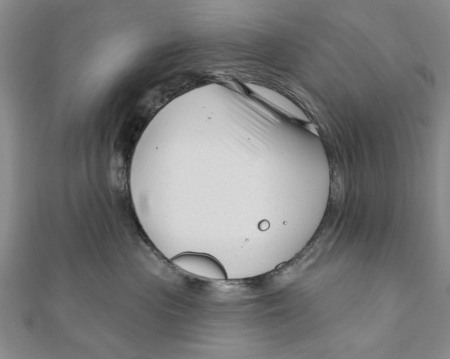 X0000111200477200907291234