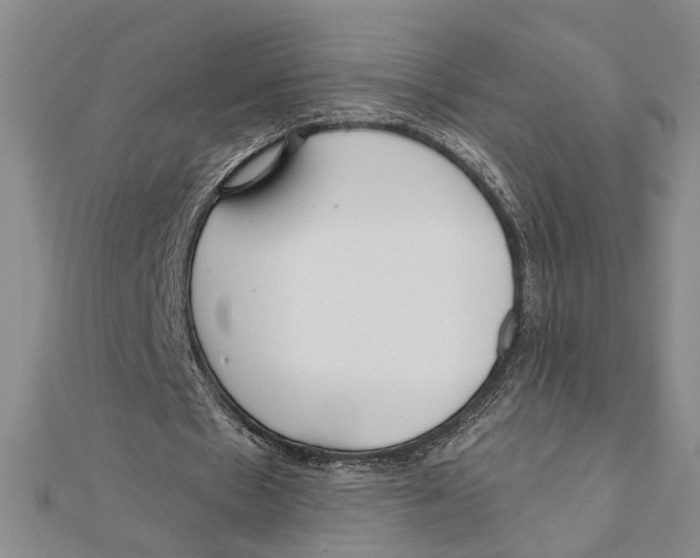 X0000111200481200907291233