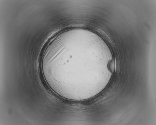 X0000111200483200907291233