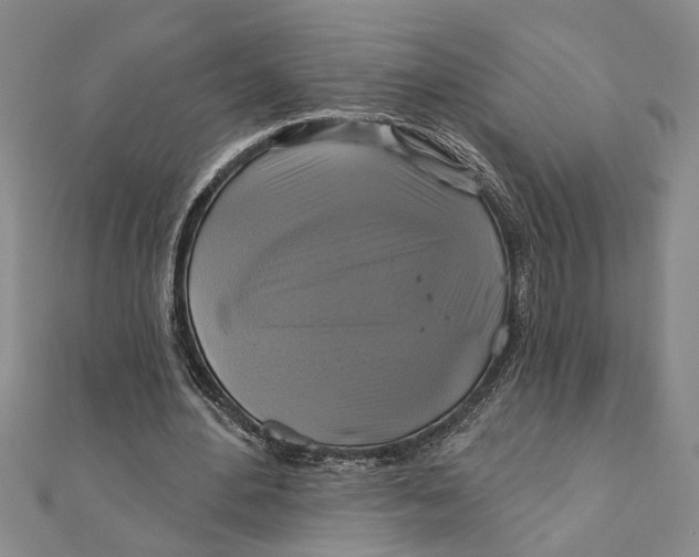 X0000111200484200907291233