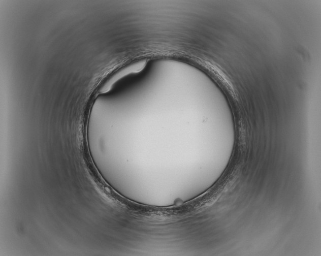 X0000111200489200907291233