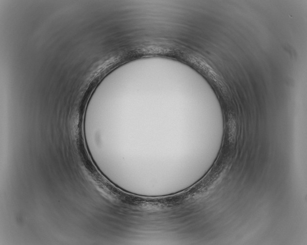 X0000111200490200907291233