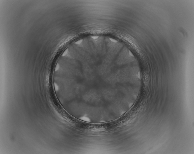 X0000111200491200907291233