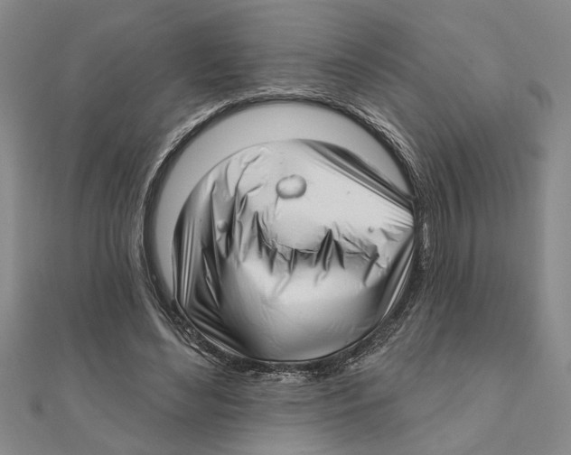 X0000111200492200907291233