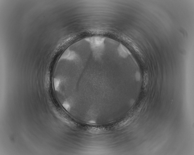 X0000111200494200907291233