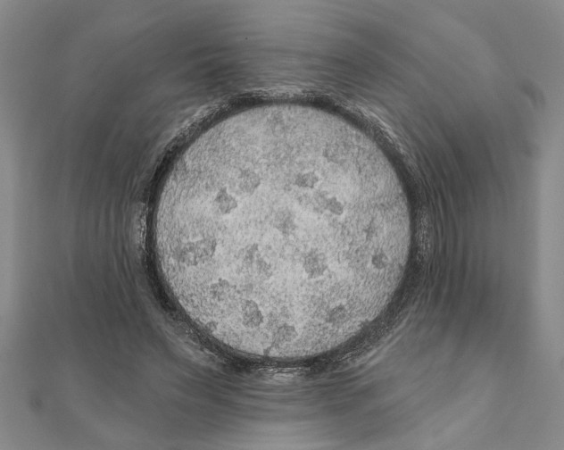 X0000111200495200907291233