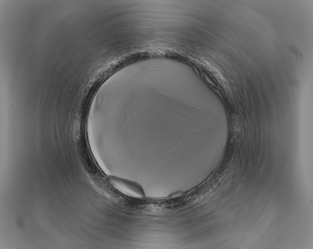 X0000111200496200907291233