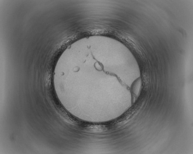 X0000111200499200907291233