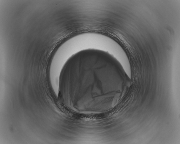 X0000111200500200907291233