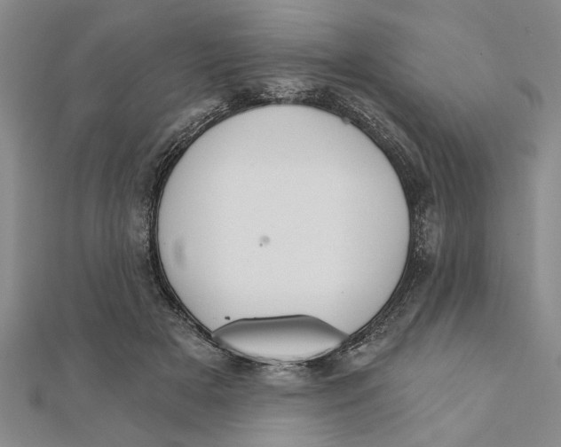 X0000111200505200907291233