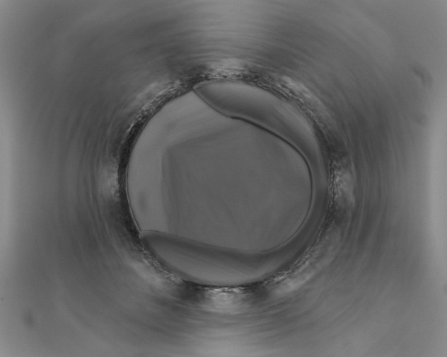 X0000111200508200907291233