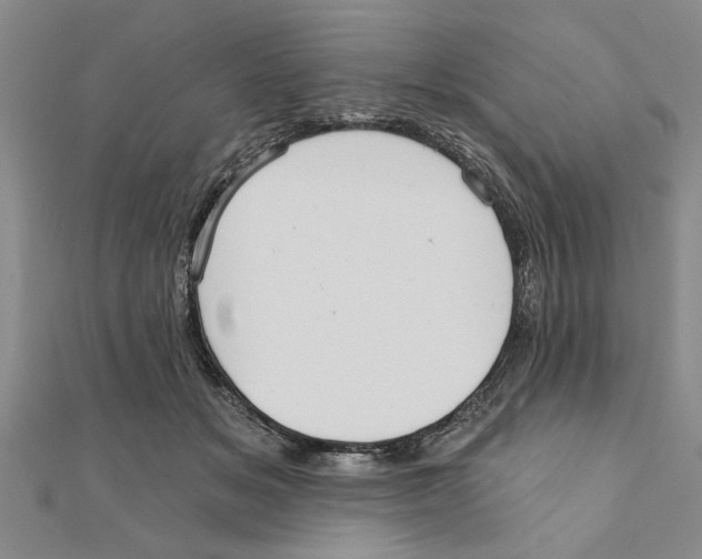 X0000111200509200907291233