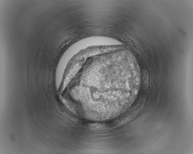 X0000111200511200907291233