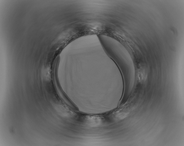 X0000111200520200907291232