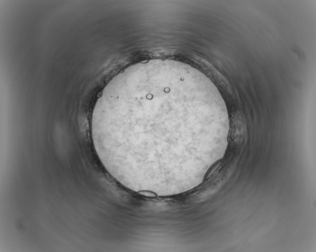 X0000111200523200907291232