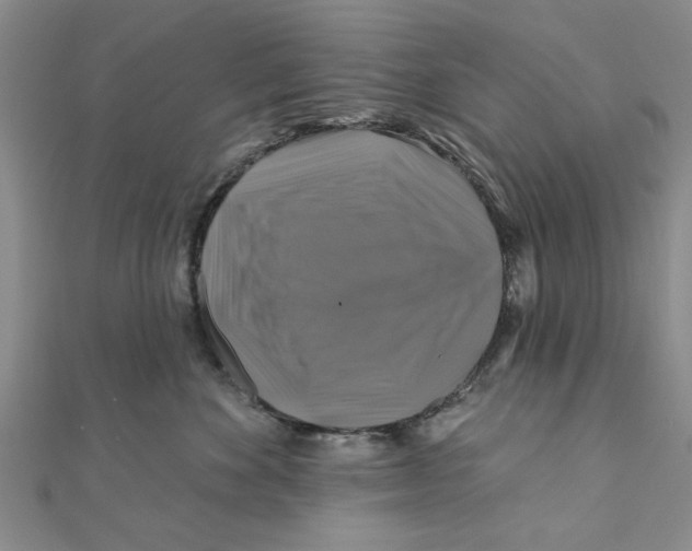 X0000111200524200907291232