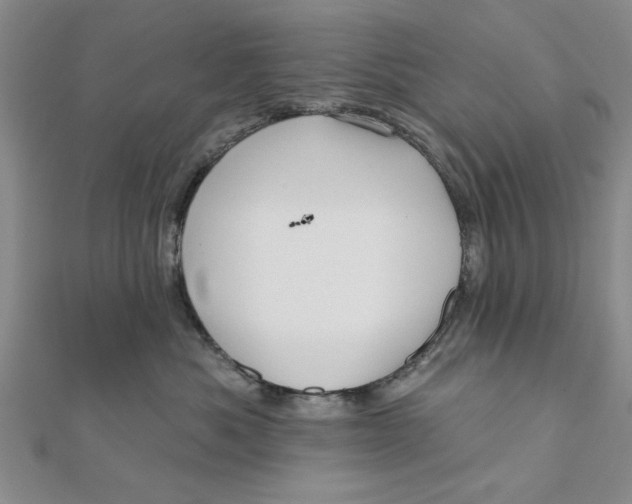 X0000111200525200907291232