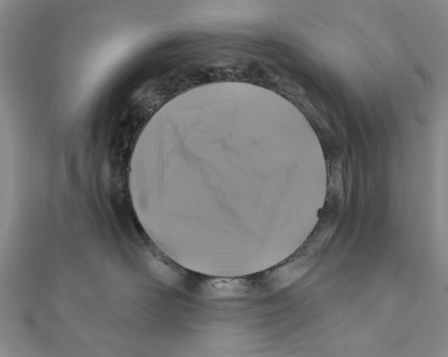 X0000111200526200907291232