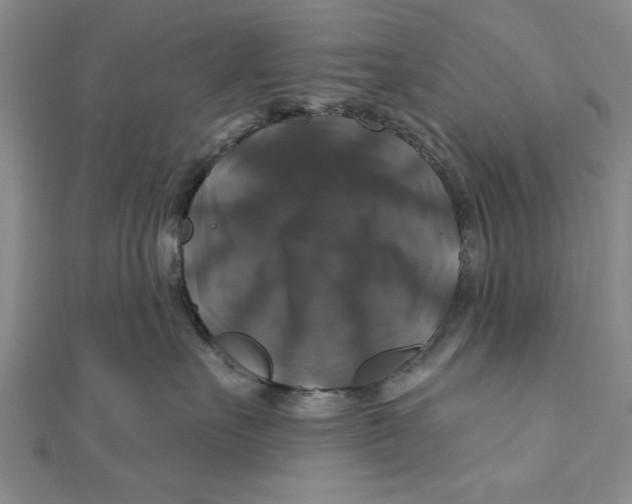 X0000111200527200907291232